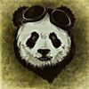 gnarlypanda